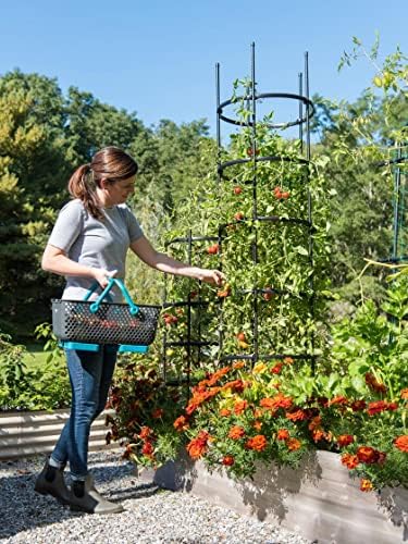Gardener's Supply Company Titan Extra Tall Tomato Cages I Set of 3 - Sturdy Steel Core Plant Support Trellis for Vegetables & Climbing Plants