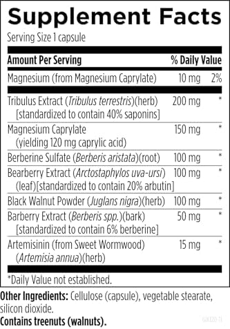 Designs for Health GI Microb-X - Botanical Gut Support, Cleanse + Detox Supplement with Tribulus, Berberine + Barberry Extract - Vegetarian + Non-GMO (60 Capsules)