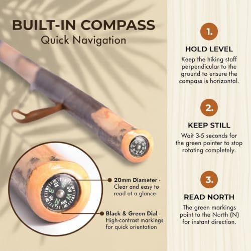 FOREST PILOT Handcrafted Nature Wood Hiking Stick 55 Inches Long - with Hand Strap and Rubber Tip Cover - Transparent Waterproof Painting Coating