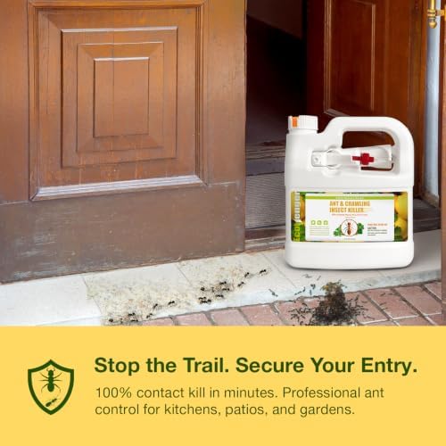 EcoVenger By EcoRaider Ant Killer & Crawling Insect Killer, 16 OZ Ready to Use, Indoor & Outdoor, Kills & Repels, Lasting Prevention, Natural & Non-Toxic Plant Based Formula, Pleasant Citrus Scent