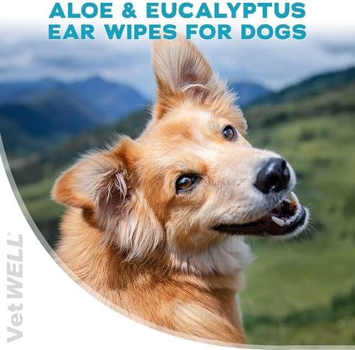VetWELL EarWELL Dog Ear Wipes - Otic Cleaning Wipes - 100ct | Cleans and Helps Reduce Wax and Buildup in Ear Canals - Deodorizes and Freshens