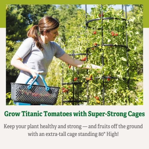 Gardener's Supply Company Titan Extra Tall Tomato Cages I Set of 3 - Sturdy Steel Core Plant Support Trellis for Vegetables & Climbing Plants