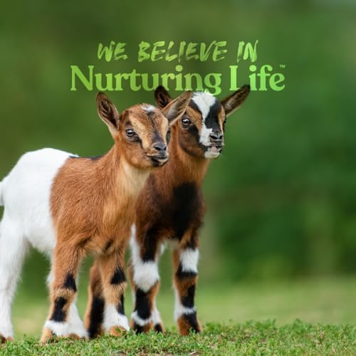 Manna Pro Goat Kid Milk Replacer with Opti-Gut, 4 lb Bag | High-Protein Milk Replacer, Opti-Gut Digestive Support, Easy-to-Mix Formula, Supports Healthy Kid Goat Growth