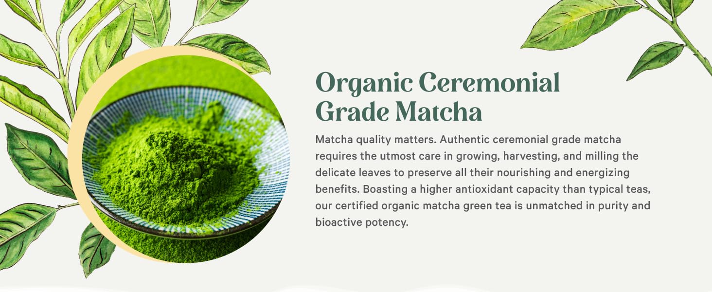 Ceremonial grade matcha must be grown &amp; handled with utmost care to preserve all health benefits