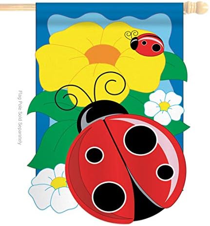 Two Group HS104049-P2-03 Ladybug Garden Friends Bugs & Frogs Applique Decorative Vertical 28" x 44" Double Sided House Flag Set Wood Dowel with