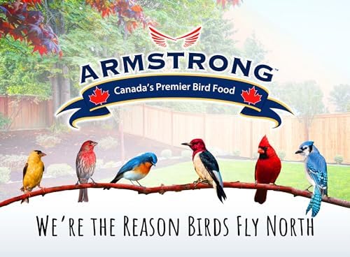 Armstrong Wild Bird Food Royal Jubilee Pure Bird Seed Blend, 20 Pounds - No-Mess, No-Sprouting Formula for Clean & Easy Feeding