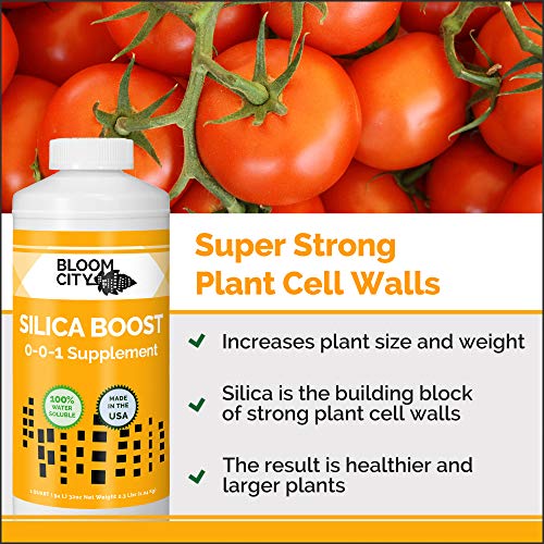 Bloom City Liquid Silica Boost Fertilizer & Supplement, 8 oz
