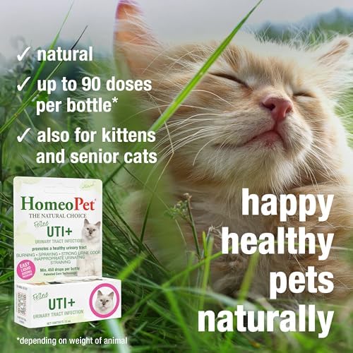 HomeoPet Feline UTI+ Urinary Tract Supplement for Cats, 15 Milliliters | Natural urinary tract support for cats, safe and gentle homeopathic formula, liquid drops suitable for daily use