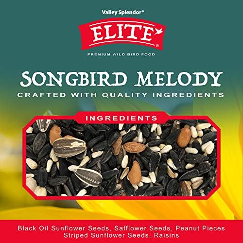 Songbird Melody
