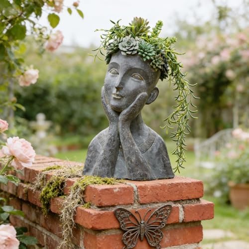 Newman House Studio Face Cactus Succulents Planter Pot - Indoor Outdoor Planter with Drainage Hole Garden Statues Cute Plants Pot Flower Pot
