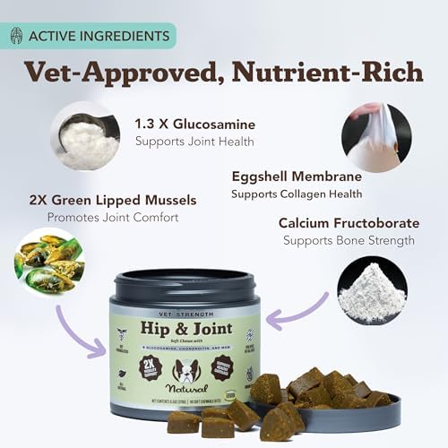 Natural Dog Company Liquid Glucosamine Hip & Joint Oil for Dogs, 16 oz, Extra Strength Cartilage & Joint Support, Helps Mobility and Eases Occasional Stiffness, Dog Vitamins & Supplements