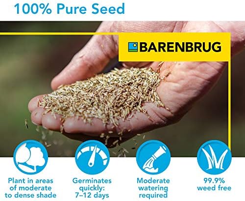 Barenbrug 25627 Turf Sense Dense Shade Grass Seed, 25 LB Bag, Excellent Wear Tolerance