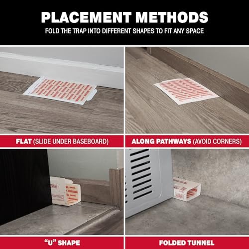 Catchmaster Extra Sticky Insect & Mouse Traps 12-Count, 5.3"x8" Glue Boards for Mice & Insects