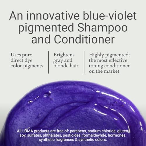 Loma Hair Care Violet Shampoo, Vanilla Bean/Blood Orange, 12 Fl Oz