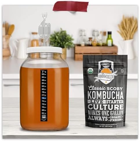 Airtight One Gallon Standard Fermentation Lid Gasket with Airlock - Turns Gallon Jar Into A Fermenter - Hard Kombucha, Beer, Wine, Cider, (S-Airlock)