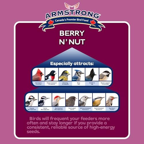 Armstrong Wild Bird Food Berry N' Nut Suet Cake, 11.3 Ounces (Pack of 3) - with Cut Corn, Rendered Beef Fat, White Millet
