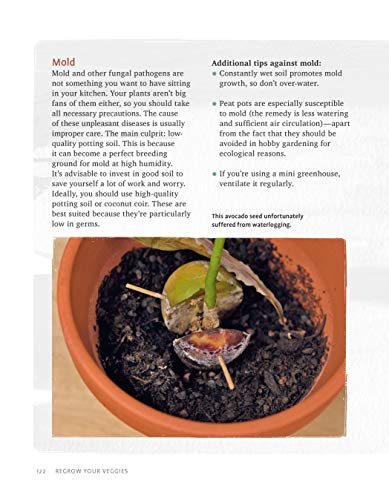 Regrow Your Veggies: Growing Vegetables from Roots, Cuttings, and Scraps (CompanionHouse Books) Sustainable Tips, Troubleshooting