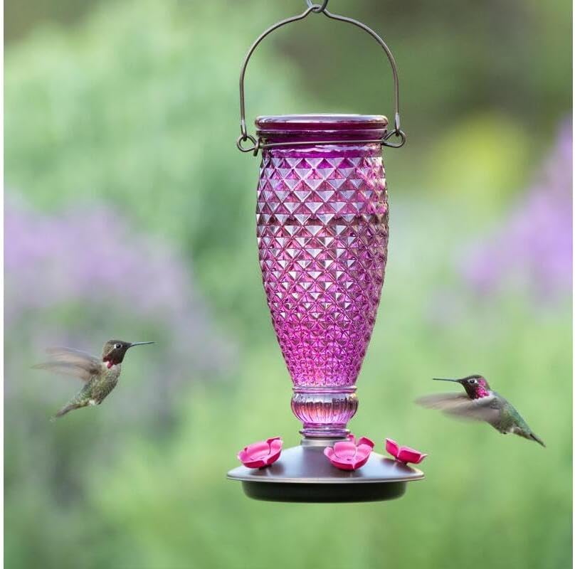 Perky-Pet Diamond Wine Top Fill Glass Hummingbird Feeder, 24 oz Capacity | Built-in Bee Guards for Outdoors, Purple Hanging Wild Bird Feeder