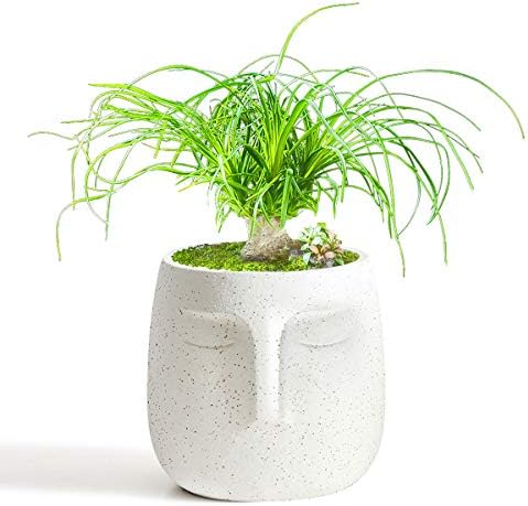GeLive Head Plant Pot Succulent Planter with Drainage Hole Modern Statue Flower Pot Face Plant Vase Windowsill Box Art Home Decoration Indoor