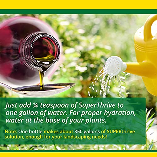 SUPERthrive Plant Vitamin Solution, 1 Pint