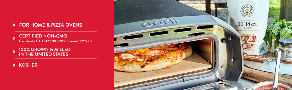 00 Pizza Flour Pizza Oven