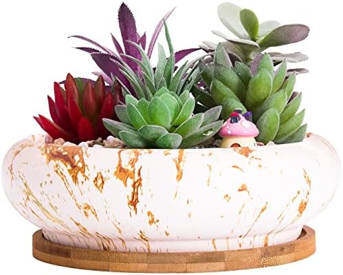 Succulent Pots, 7.3'' Large Bonsai Pots with Tray, Shallow Planters