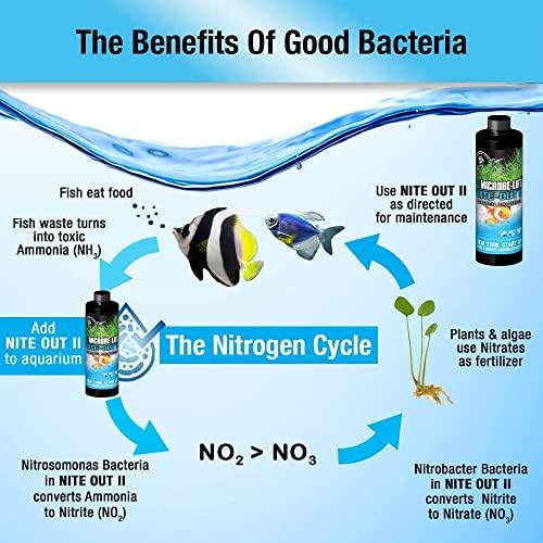 MICROBE-LIFT Nite-Out II Aquarium Bacteria for Start-up, Instantly Cycle Aquariums, Add Fish on Day 1, Rapid Ammonia and Nitrite Reducer for Freshwater & Saltwater Fish Tank, 16 Ounces (NITEH16)