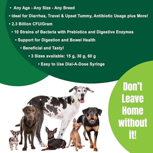 Dogzymes Canine Probiotic Paste Beneficial Bacteria-Enzyme 2.3 Billion CFU/gm Saccharomyces boulardii Organic Dried Honey Powder (30 Gram)