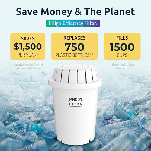 Invigorated Water Alkaline Water Filter Dispenser, 53-Cup Large Capacity