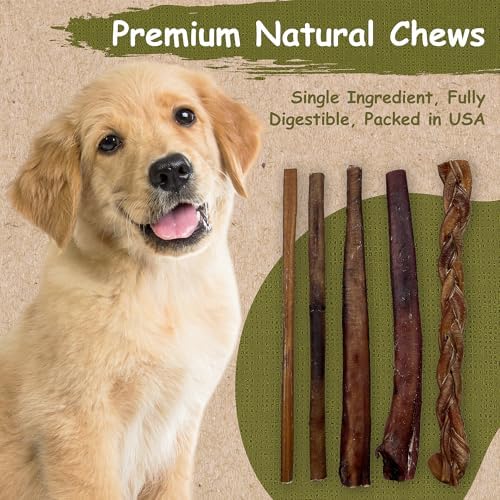 Top Dog Chews - 12 Inch Standard 12 Pack Bully Sticks, Long Lasting, 100% Natural Beef, Free Range Grass Fed, High Protein