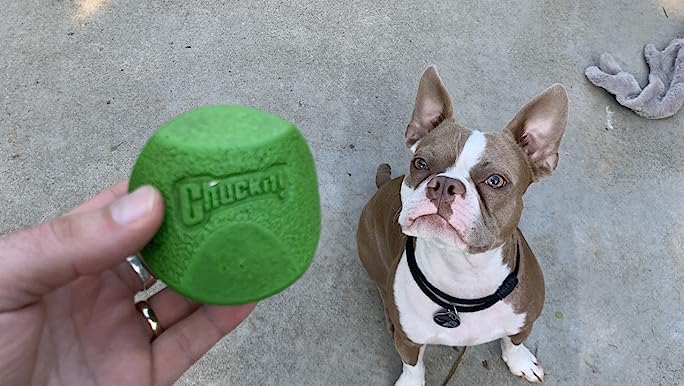Chuckit! Fetch Pack Dog Balls - Interactive Dog Toys, High-Bounce Fetch Ball, Floating Ultra and Rugged Balls, Durable - Size Small, 2-inch Diameter, Set of 3