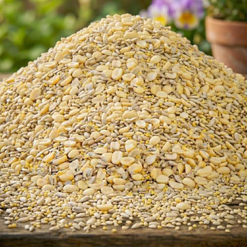 BestNest Wild Bird Seed Mix, Waste Free Blend, 100 lbs.