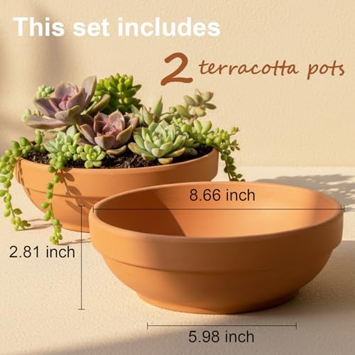 Laerjin Terracotta Pots, 6.43 Inch Shallow Pots with Drainage Hole, 6 Pack