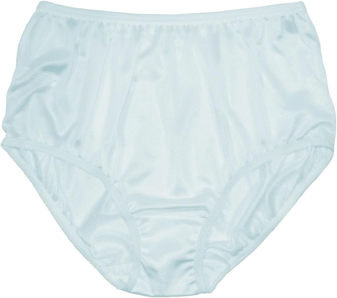 Teri Women's 331 Plain Jane Classic Nylon Silky-Smooth Lightweight Breathable Full Coverage Brief Panty - 4 Pack