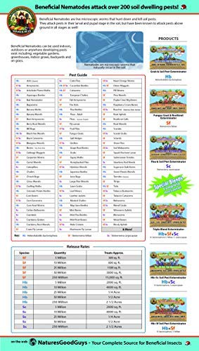 NaturesGoodGuys Beneficial Nematodes Steinernema feltiae SF - 5 Million