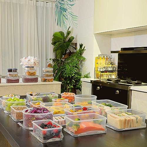 28 Pieces Food Storage Containers with Lids EXTRA LARGE Freezer Containers for Food BPA-Free Meat Fruit Vegetables Plastic Containers with lids