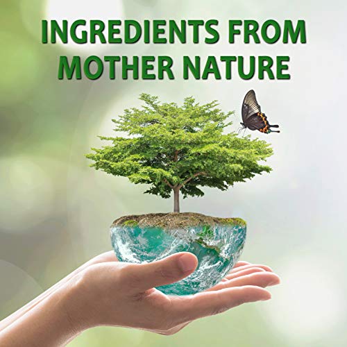 Natural Weed Killer Spray, No Glyphosate, Results in Less Than 24-Hours (128 oz Gallon)