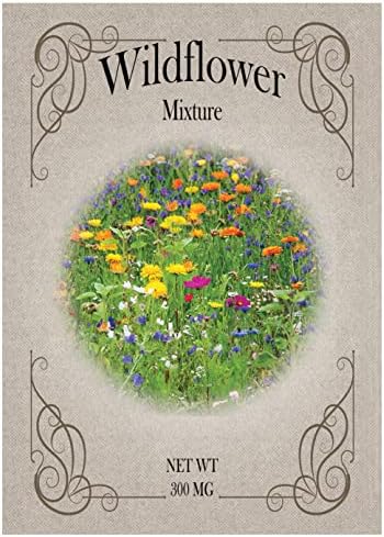Set of 50 Flower Seed Packets! Flower Seeds in Bulk (50, Wildflower Mixture)