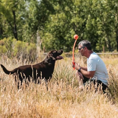 Chuckit! Pro 26L Dog Ball Launcher, 26" Length, Includes Large Ball (3") For Dogs 60-100 Pounds