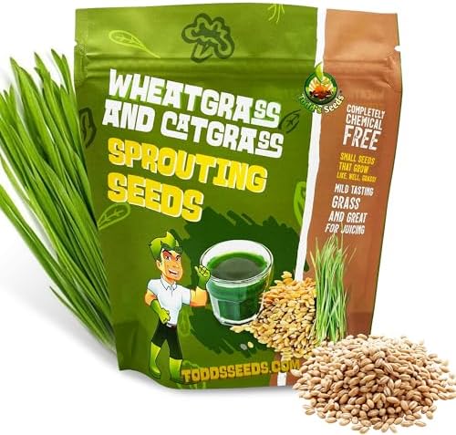 Todd's Seeds Hard Red Wheatgrass Seeds, 5 lb Bulk – Non-GMO | Hard Red Winter Wheat variety. Bulk 5 lb supply. High germination rate. Grow in soil or hydroponics. USA packed.