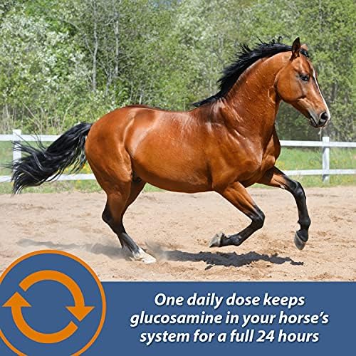 Farnam MaxFlex XR Extended Release Joint Supplement for Horses, Provides a continuous supply of joint health ingredients for 24 hours, 0.9375 pound