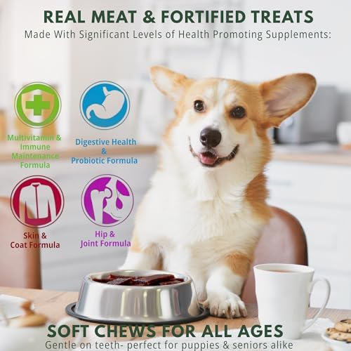 Loving Pets Activpetz Beef Jerky Hip & Joint Formula Dog Treat, 7 Oz