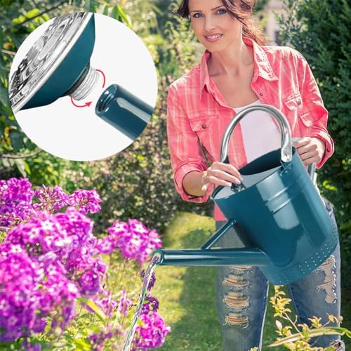 1 Gallon Metal Watering Can with Removable Spout, Nice Galvanized Steel Water Can with Embossed Design for Indoor and Outdoor Plants