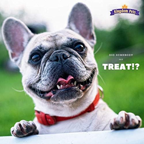 Chicken Jerky Dog Treats with Only 3 Ingredients and No Fillers, 3 Pound Bag