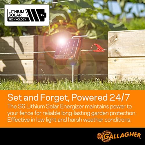 Gallagher Garden & Backyard Pet Protection Kit | Solar Electric Fence Kit for Deer, Rabbits