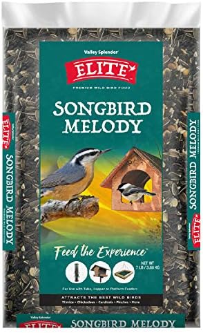 Songbird Melody