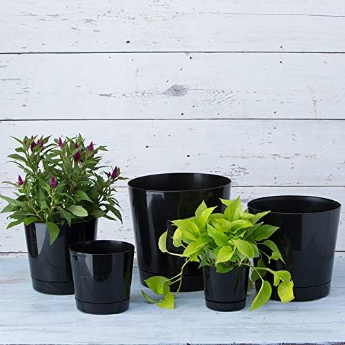 Novelty Majestic Full Depth Round Cylinder Pot, Glossy White, 8-Inch (10082)