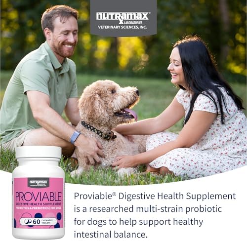 Nutramax Proviable Probiotics + Prebiotics for Dogs, Chewable Tablets, 60ct