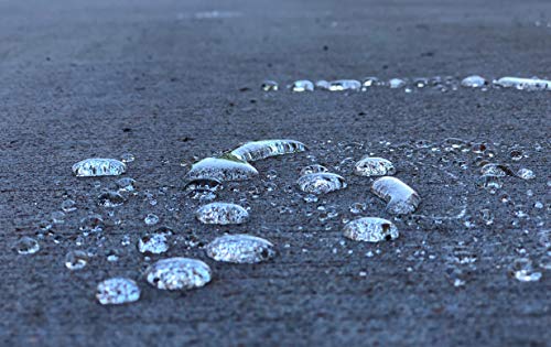 Saltguard® WB - Penetrating, Breathable Concrete Sealer – Trusted by Professionals (1-GAL)