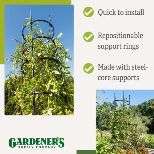 Gardener's Supply Company Titan Extra Tall Tomato Cages I Set of 3 - Sturdy Steel Core Plant Support Trellis for Vegetables & Climbing Plants